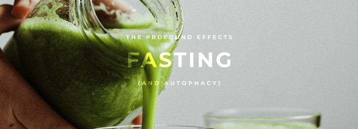 The Profound Benefits of Fasting (and Autophagy)